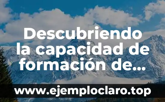Descubriendo el Significado de la Apologética: Una Guía Completa 5 Descubriendo la capacidad de formación de espuma