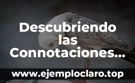 Descubriendo las Connotaciones Psicológicas de Bob Esponja