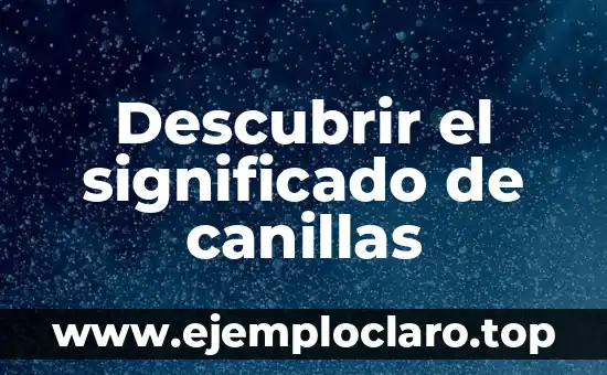 Significado y Definición de Pluralismo 8 Descubrir el significado de canillas