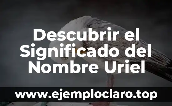 Significado del Nombre de Persona Abril: Orígenes y Curiosidades 3 Descubrir el Significado del Nombre Uriel