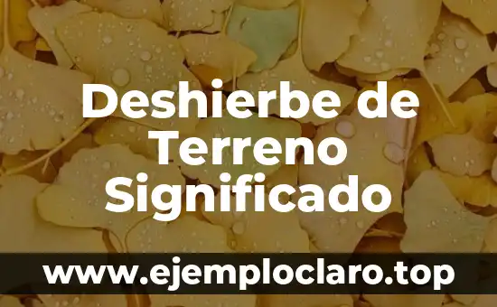 Deshierbe de Terreno Significado