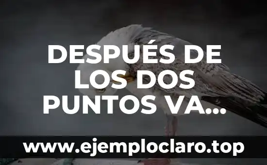 DESPUÉS DE LOS DOS PUNTOS VA MAYÚSCULA: Guía Completa para Entender la Importancia de la Maquetación en el Idioma