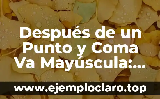 Después de un Punto y Coma Va Mayúscula: Reglas y Ejemplos de Uso