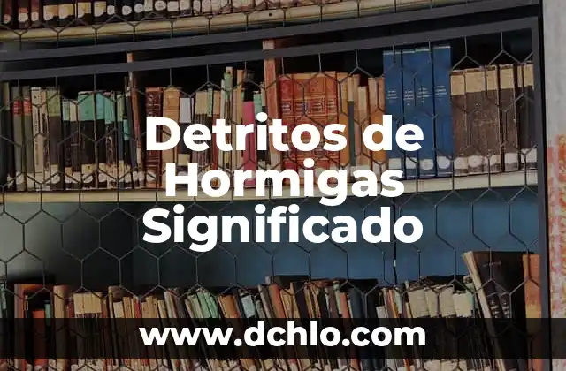 Significado de Hormigas Rojas 5 Detritos de Hormigas Significado