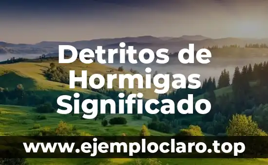 Detritos de Hormigas Significado