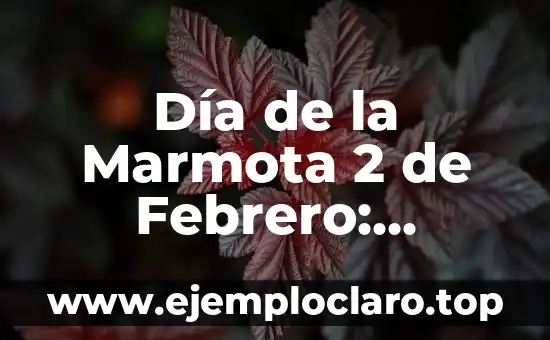 El Folklore de Jalisco: Un Viaje a Través de las Tradiciones Populares 8 Día de la Marmota 2 de Febrero: Significado, Orígenes y Tradiciones