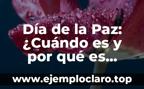 Día de la Paz: ¿Cuándo es y por qué es importante?