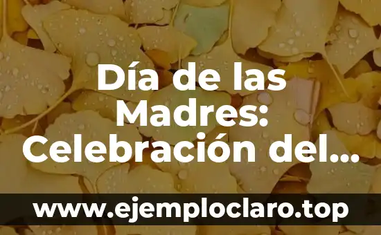 Cuando es el Día de la Amistad en España - Celebración y Tradición 5 Día de las Madres: Celebración del 10 de Mayo