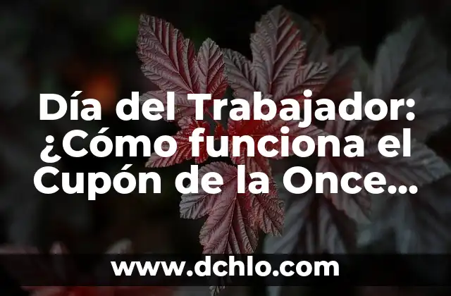 Resultado del Cupón de la Once del Domingo: Análisis y Pronósticos 3 Día del Trabajador: ¿Cómo funciona el Cupón de la Once el 5 de mayo?
