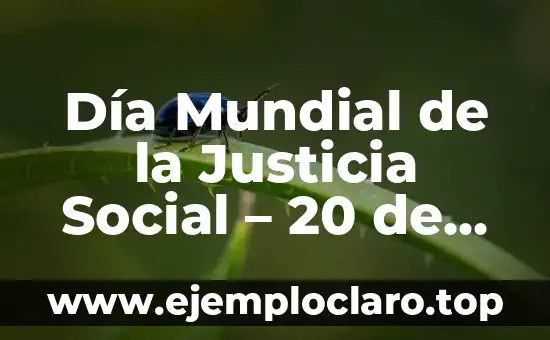 Día Mundial de la Justicia Social - 20 de febrero