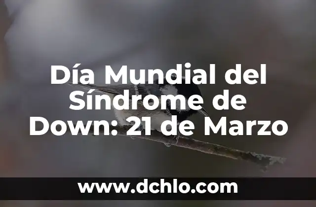 Understanding MIMDES: Breaking Down the Acronym 6 Día Mundial del Síndrome de Down: 21 de Marzo