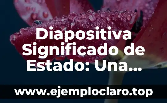 Cómo hacer una diapositiva con movimiento en PowerPoint 5 Diapositiva Significado de Estado: Una Guía Completa