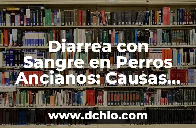 ¿Qué es Escuchar un Zumbido en el Oído? - Causas, Síntomas y Tratamientos 8 Diarrea con Sangre en Perros Ancianos: Causas, Síntomas y Tratamiento