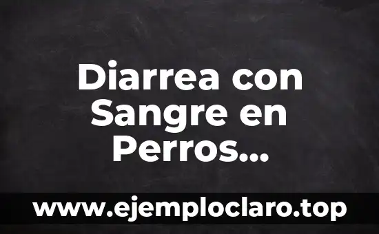 Diarrea con Sangre en Perros Ancianos: Causas, Síntomas y Tratamiento