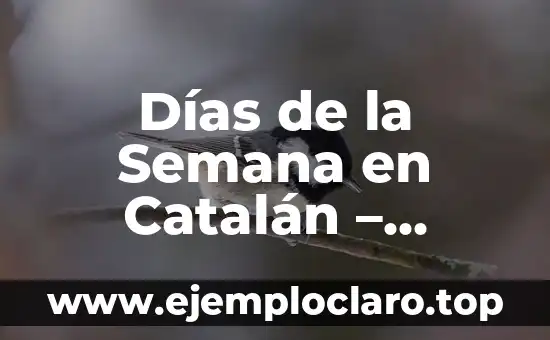 Nombres con Significado de Renacimiento 4 Días de la Semana en Catalán – Aprende los Nombres Correctos