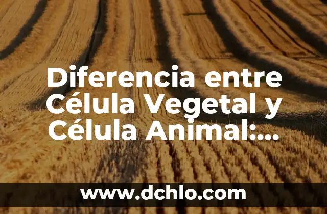 Diferencia entre Agua de Mineralización Débil y Muy Débil: ¿Cuál es la Mejor Opción? 7 Diferencia entre Célula Vegetal y Célula Animal: Entendiendo las Distinciones Fundamentales