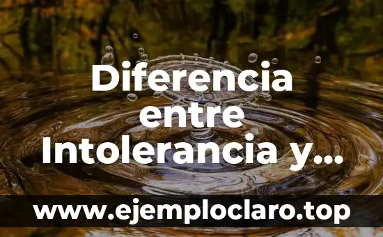 ¿Por qué cada vez aguanto menos a la gente? - La intolerancia social en la era digital 4 Diferencia entre Intolerancia y Alergia Alimentaria: ¿Cuál es la Distinción?