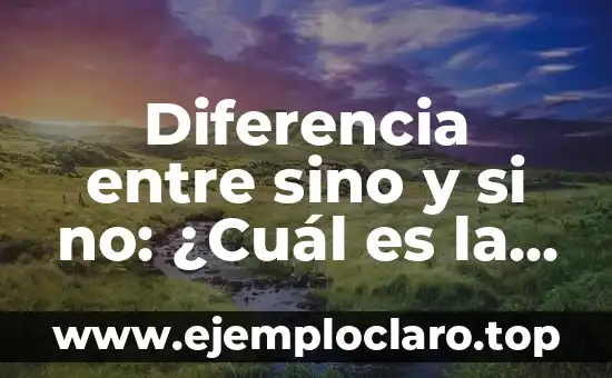¿Qué Es una Progresión Aritmética? 5 Diferencia entre sino y si no: ¿Cuál es la correcta?