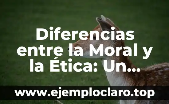 Cuadro de Valores: Un Marco para la Ética y la Moral 8 Diferencias entre la Moral y la Ética: Un Análisis Detallado