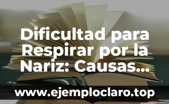 Tiempo de vacas flacas: Un concepto que define épocas de dificultad 3 Dificultad para Respirar por la Nariz: Causas, Síntomas y Tratamientos