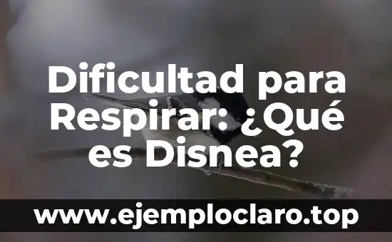 Tiempo de vacas flacas: Un concepto que define épocas de dificultad 5 Dificultad para Respirar: ¿Qué es Disnea?