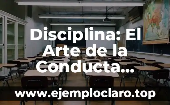 Disciplina: El Arte de la Conducta Regulada