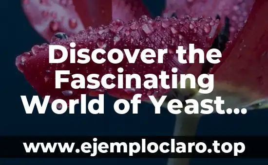 Discover the Fascinating World of Yeast Cells: Meaning and Functions