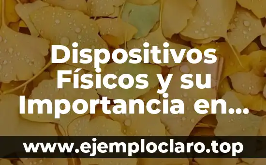 Dispositivos Físicos y su Importancia en la Computación