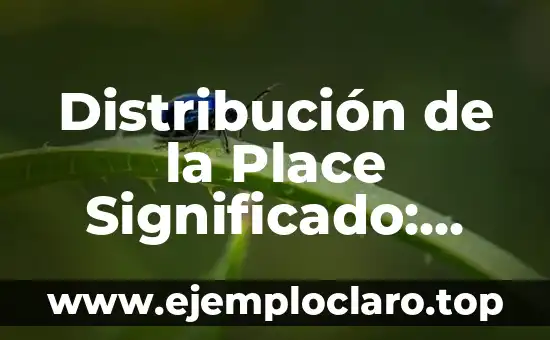 Significados fundamentales de la libertad 8 Distribución de la Place Significado: Conceptos Fundamentales