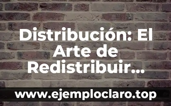 Distribución: El Arte de Redistribuir Recursos