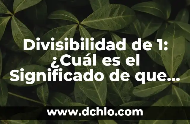 Cual es el significado de polar 4 Divisibilidad de 1: ¿Cuál es el Significado de que cualquier Número es Divisor de 1?