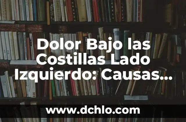 Mi Perro Se Rasca Mucho y No Tiene Nada: Causas y Soluciones 7 Dolor Bajo las Costillas Lado Izquierdo: Causas y Tratamientos