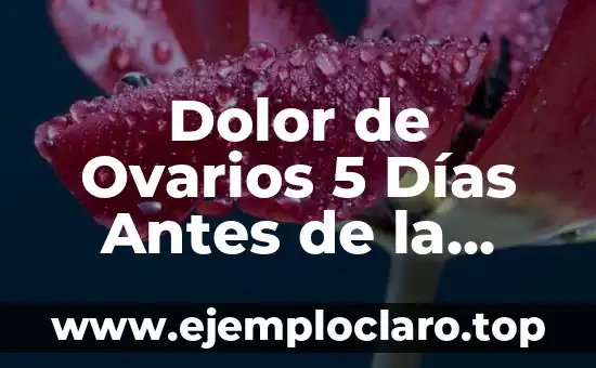 Dolor de Ovarios 5 Días Antes de la Regla: Qué es y Cómo Aliviarlo