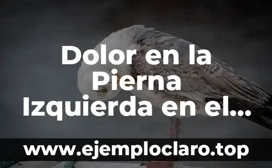 Dolor en la Pierna Izquierda en el Muslo: Causas y Tratamientos