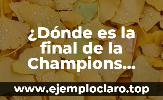 ¿Dónde es la final de la Champions League? – Guía definitiva para descubrir el lugar del partido más importante del fútbol
