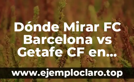 Dónde Mirar Real Sociedad vs Celta de Vigo en Vivo: Guía Completa 6 Dónde Mirar FC Barcelona vs Getafe CF en Vivo y en Directo