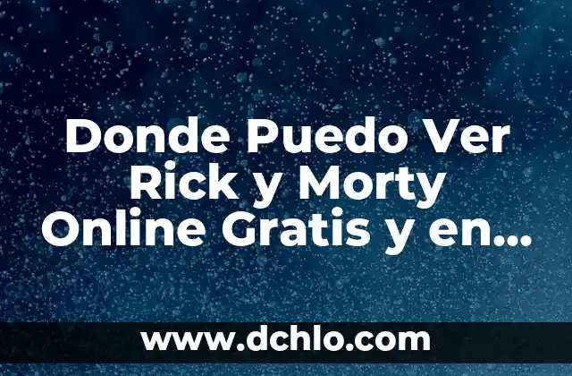 ¿Puedo Ir Sin Camiseta por la Calle? Reglas y Precauciones 6 Donde Puedo Ver Rick y Morty Online Gratis y en Español