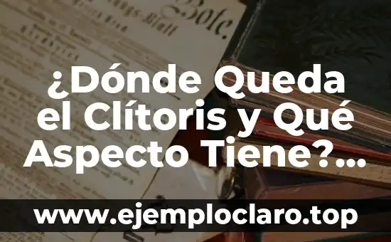 Los Nombres de Ángeles y sus Significados: Guía Completa 8 ¿Dónde Queda el Clítoris y Qué Aspecto Tiene? Una Guía Completa