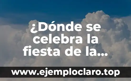 ¿Dónde se celebra la fiesta de la Tomatina? – Descubre el lugar donde se realiza esta fiesta única