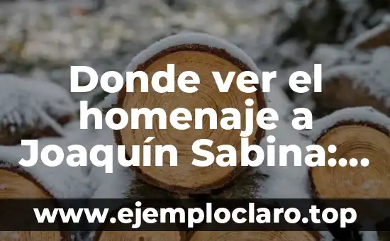 Nombres con significado de trabajador: Un homenaje a la laboriosidad 5 Donde ver el homenaje a Joaquín Sabina: Un tributo al artista español