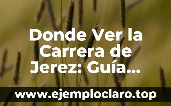Donde Ver la Carrera de Jerez: Guía Completa y Actualizada