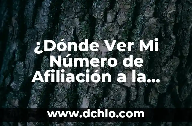 ¿Cómo saber si mi hijo es autista? 4 ¿Dónde Ver Mi Número de Afiliación a la Seguridad Social?