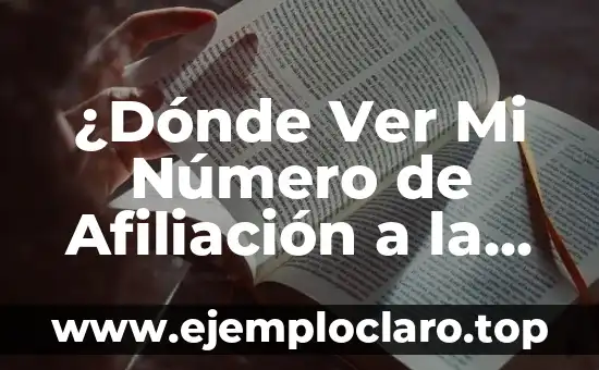 ¿Cómo saber si mi hijo es autista? 4 ¿Dónde Ver Mi Número de Afiliación a la Seguridad Social?