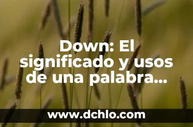 Understanding MIMDES: Breaking Down the Acronym 5 Down: El significado y usos de una palabra versátil