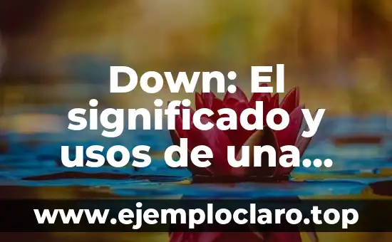 Down: El significado y usos de una palabra versátil