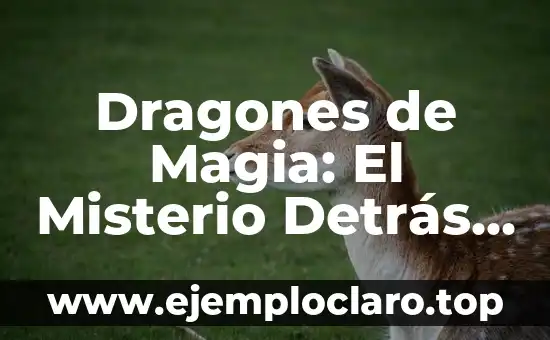 Dragones de Magia: El Misterio Detrás de las Estatuas