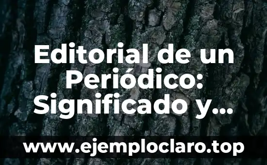 El Significado de los Medios de Alianza Digitales en la Era Moderna 5 Editorial de un Periódico: Significado y Función en los Medios de Comunicación