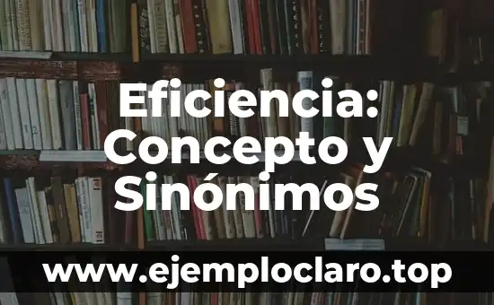 Eficiencia: Concepto y Sinónimos