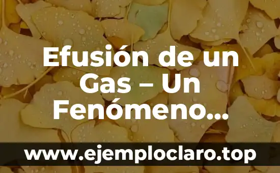 Efusión de un Gas – Un Fenómeno Físico Fascinante
