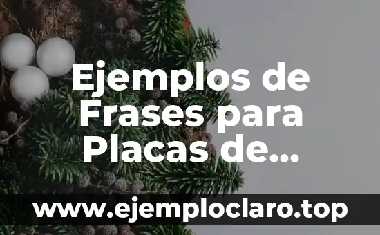 Ejemplos de Frases para Placas de Reconocimiento: Ideas y Consejos